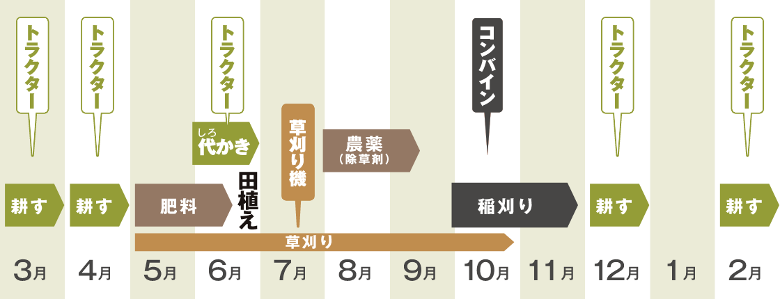 稲作年間スケジュール
